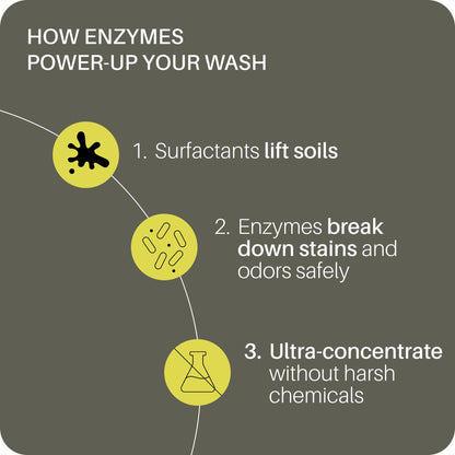 Enzymatic Laundry Soap | Ultra-Concentrated (32 loads)