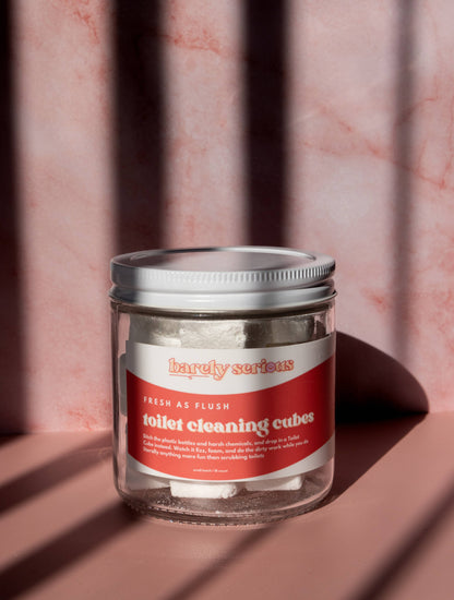 Toilet Cleaning Cubes |