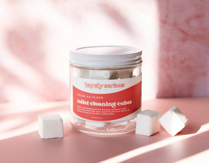 Toilet Cleaning Cubes |